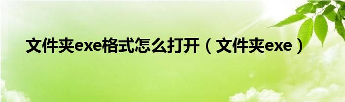 文件夹exe格式怎么打开（文件夹exe）