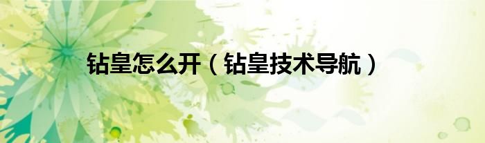 钻皇怎么开（钻皇技术导航）