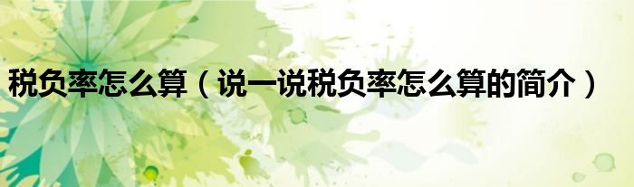 税负率怎么算（说一说税负率怎么算的简介）