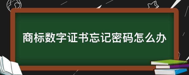 商标数字证书忘记密码怎么办