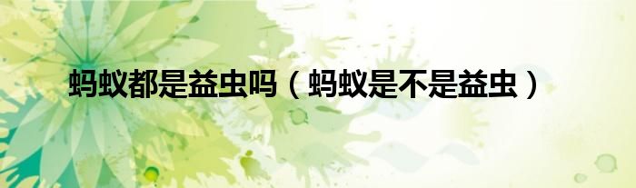 蚂蚁都是益虫吗（蚂蚁是不是益虫）