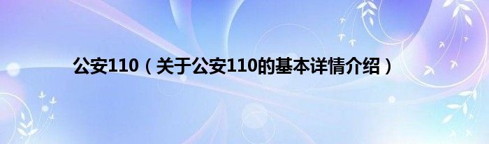 公安110（关于公安110的基本详情介绍）