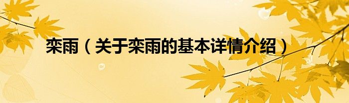 栾雨（关于栾雨的基本详情介绍）