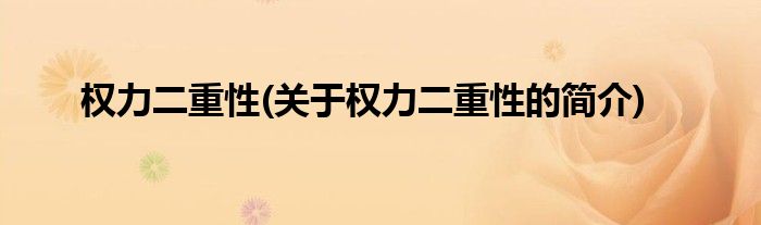 权力二重性(关于权力二重性的简介)