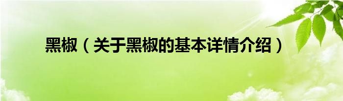 黑椒（关于黑椒的基本详情介绍）