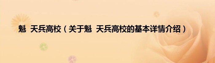 魁  天兵高校（关于魁  天兵高校的基本详情介绍）