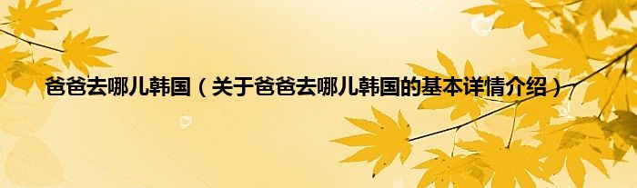 爸爸去哪儿韩国（关于爸爸去哪儿韩国的基本详情介绍）