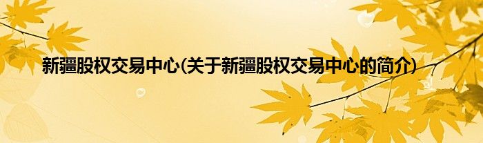 新疆股权交易中心(关于新疆股权交易中心的简介)