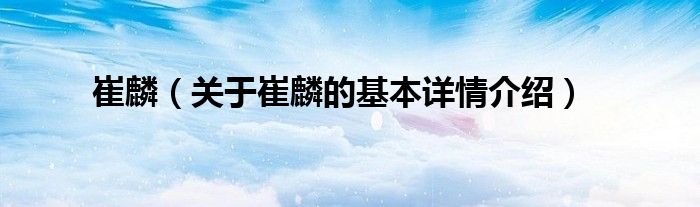 崔麟（关于崔麟的基本详情介绍）