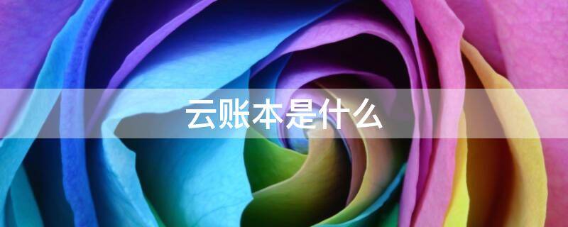 云账本是什么