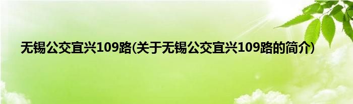 无锡公交宜兴109路(关于无锡公交宜兴109路的简介)