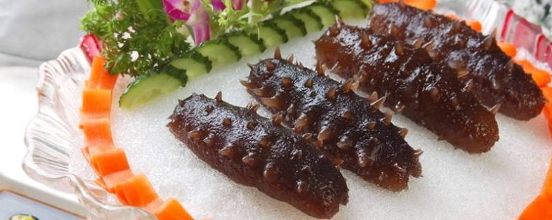 海参有什么功效与作用