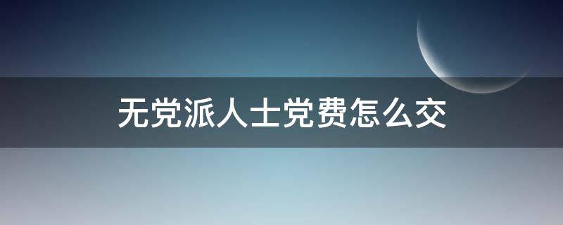 无党派人士党费怎么交