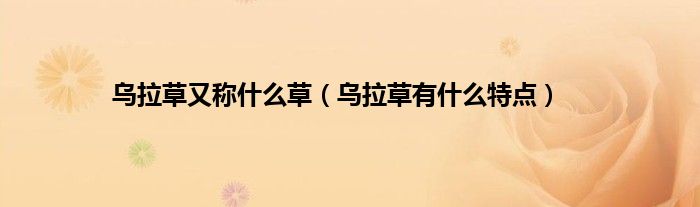乌拉草又称什么草（乌拉草有什么特点）