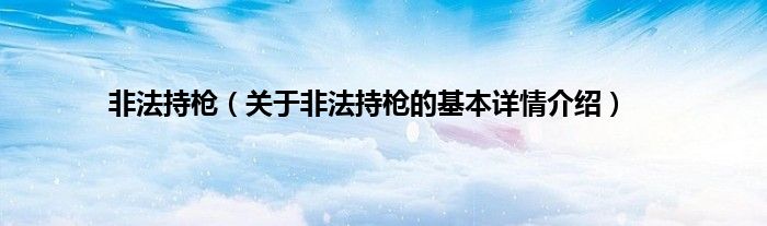 非法持枪（关于非法持枪的基本详情介绍）