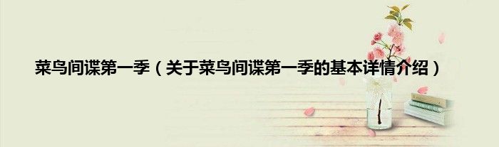 菜鸟间谍第一季(关于菜鸟间谍第一季的基本详情介绍)