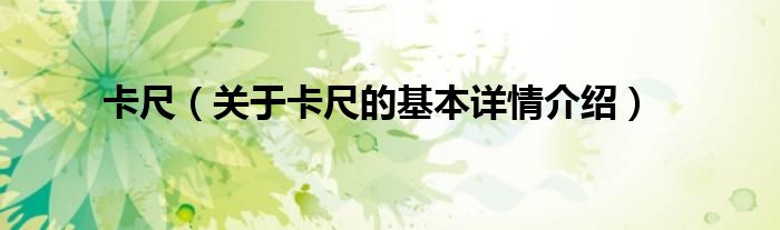 卡尺（关于卡尺的基本详情介绍）