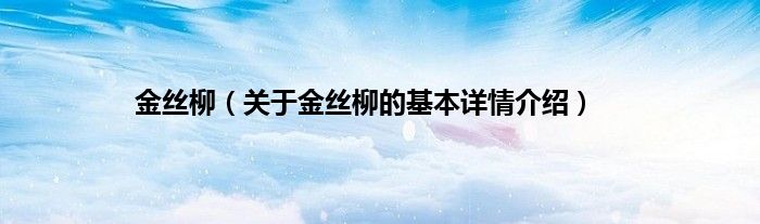 金丝柳（关于金丝柳的基本详情介绍）