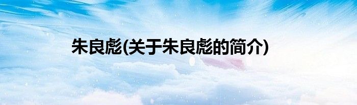 朱良彪(关于朱良彪的简介)