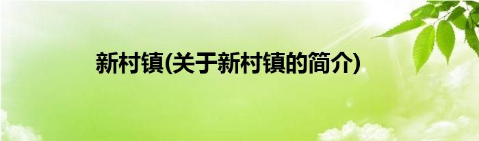 新村镇(关于新村镇的简介)