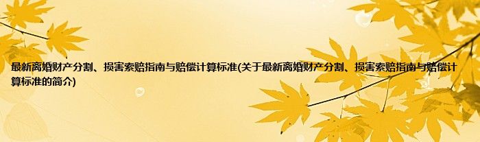 最新离婚财产分割、损害索赔指南与赔偿计算标准(关于最新离婚财产分割、损害索赔指南与赔偿计算标准的简介)
