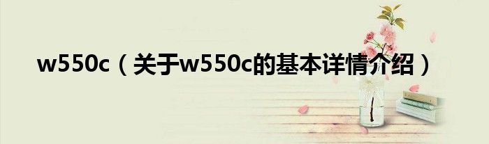 w550c（关于w550c的基本详情介绍）