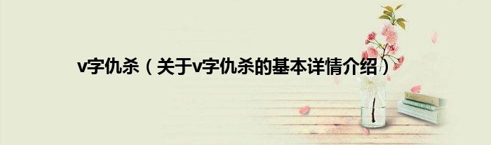 v字仇杀（关于v字仇杀的基本详情介绍）