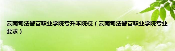 云南司法警官职业学院专升本院校（云南司法警官职业学院专业要求）