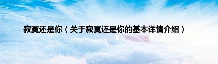 寂寞还是你（关于寂寞还是你的基本详情介绍）