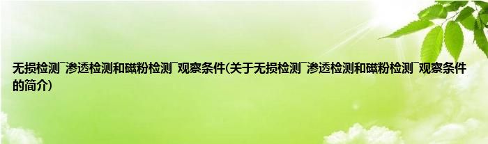 无损检测―渗透检测和磁粉检测―观察条件(关于无损检测―渗透检测和磁粉检测―观察条件的简介)
