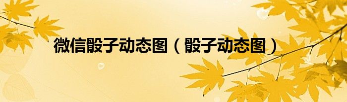 微信骰子动态图（骰子动态图）
