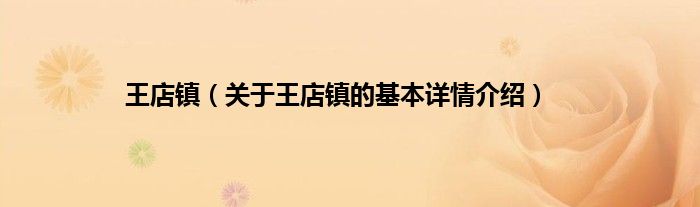 王店镇（关于王店镇的基本详情介绍）