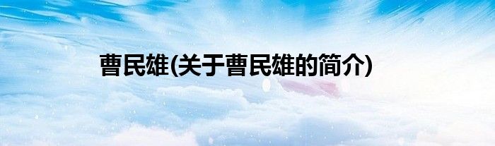 曹民雄(关于曹民雄的简介)