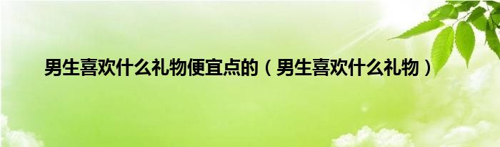 男生喜欢什么礼物便宜点的（男生喜欢什么礼物）