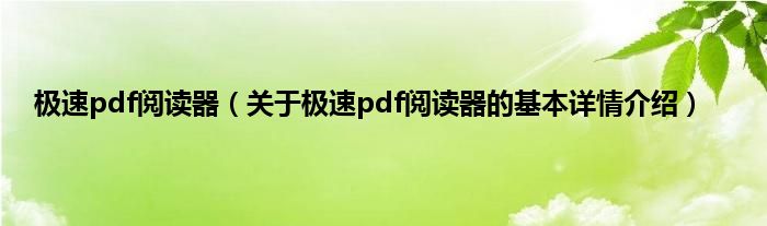极速pdf阅读器（关于极速pdf阅读器的基本详情介绍）