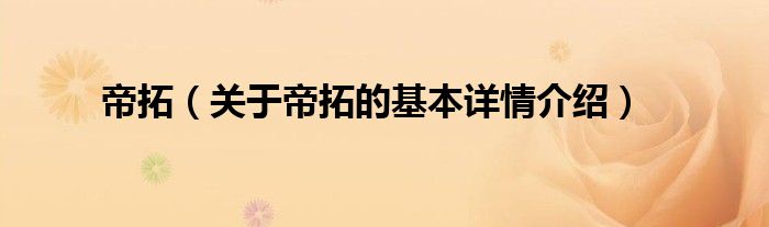 帝拓（关于帝拓的基本详情介绍）