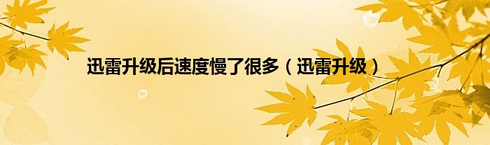 迅雷升级后速度慢了很多（迅雷升级）