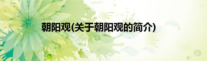 朝阳观(关于朝阳观的简介)