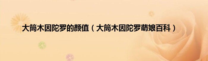 大筒木因陀罗的颜值（大筒木因陀罗萌娘百科）