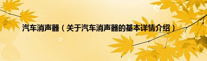 汽车消声器（关于汽车消声器的基本详情介绍）