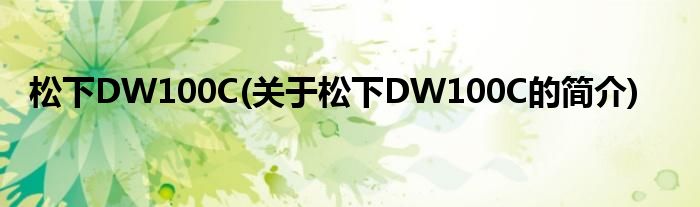 松下DW100C(关于松下DW100C的简介)