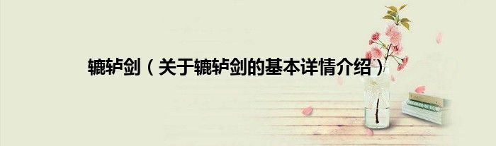 辘轳剑（关于辘轳剑的基本详情介绍）