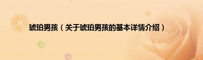 琥珀男孩（关于琥珀男孩的基本详情介绍）