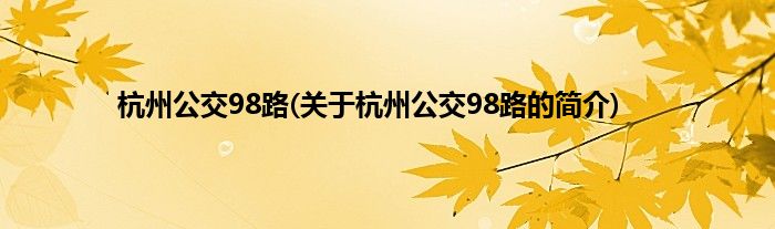 杭州公交98路(关于杭州公交98路的简介)