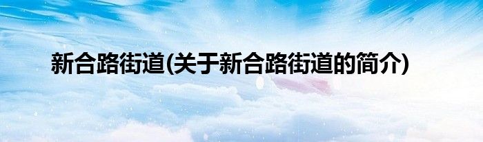 新合路街道(关于新合路街道的简介)