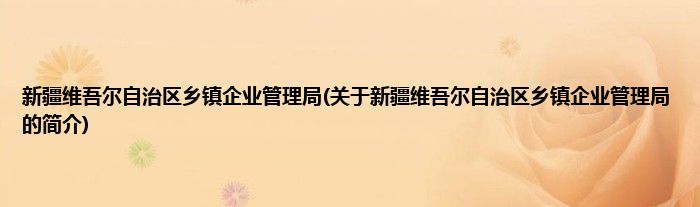 新疆维吾尔自治区乡镇企业管理局(关于新疆维吾尔自治区乡镇企业管理局的简介)