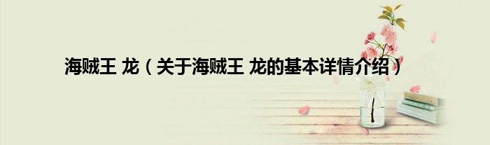 海贼王 龙（关于海贼王 龙的基本详情介绍）