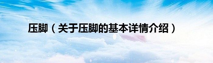 压脚（关于压脚的基本详情介绍）