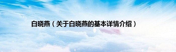 白晓燕（关于白晓燕的基本详情介绍）