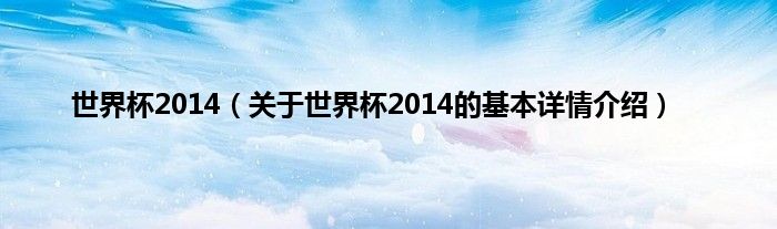 世界杯2014(关于世界杯2014的基本详情介绍)